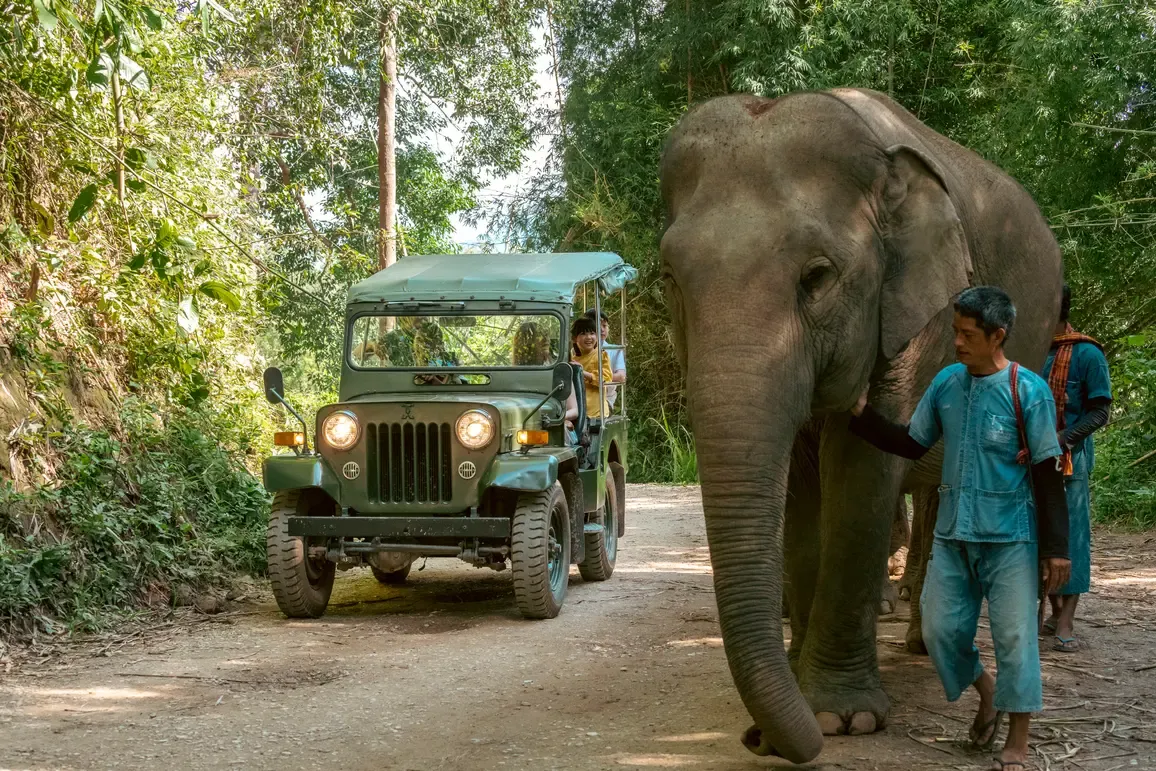 Guests on an elephant camp jeep encounter at Anantara Golden Triangle Elephant Camp & Resort