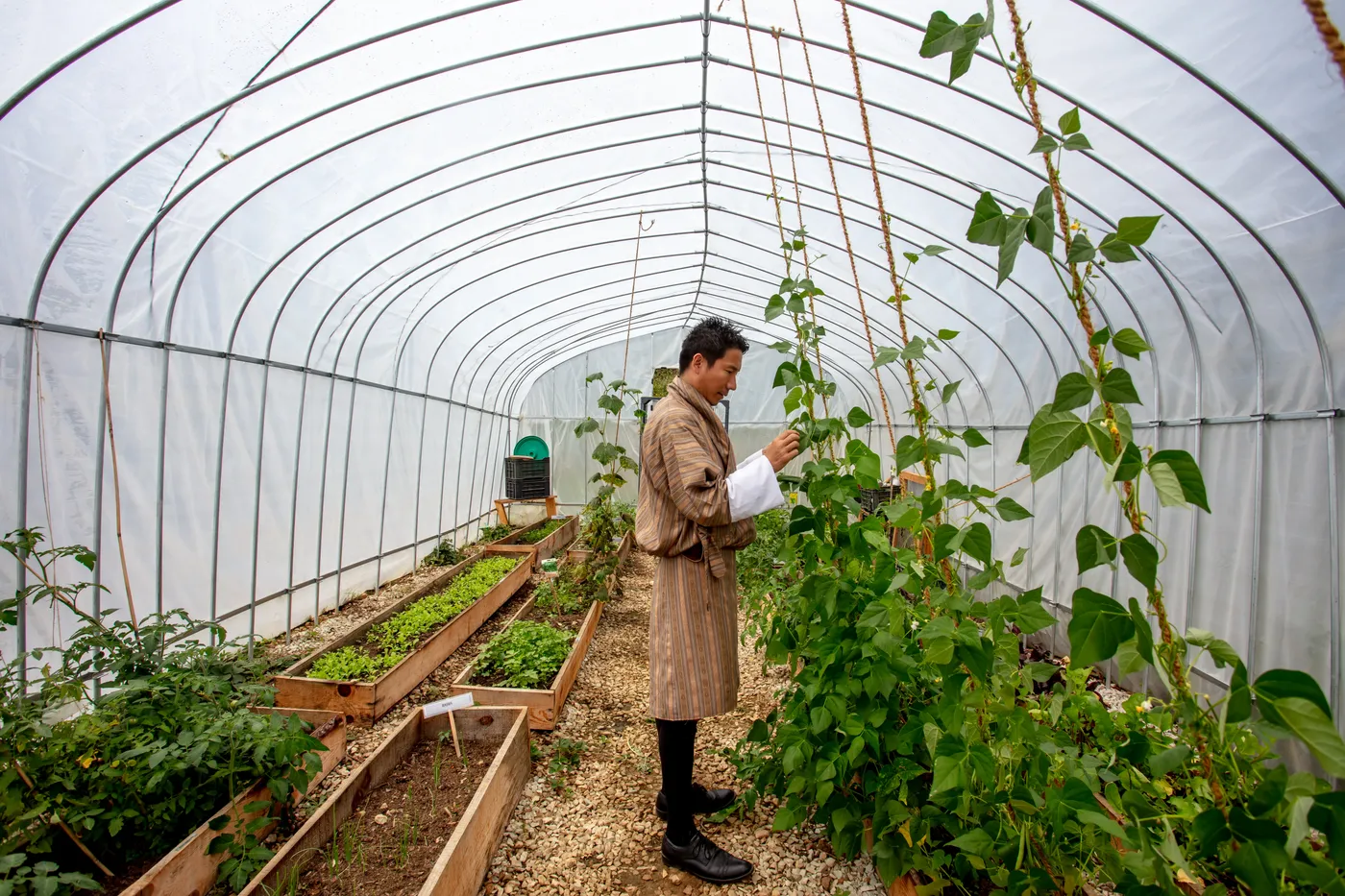 Sanctuary green house for Bhutan Spirit Sanctuary, Paro: Is Bhutan’s Wellness-Inclusive Retreat Worth It?.
