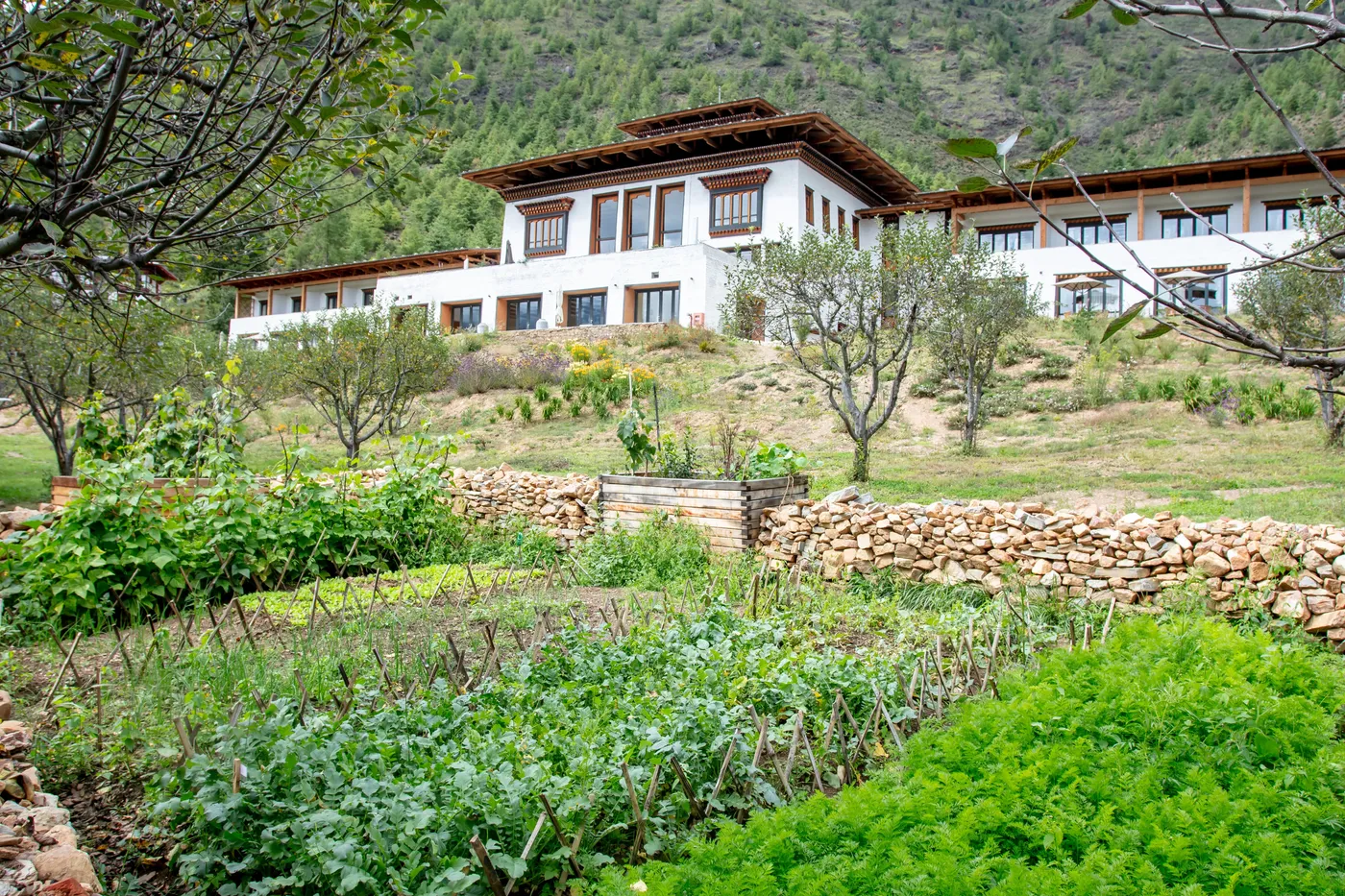 Sanctuary vegetable gardens for Bhutan Spirit Sanctuary, Paro: Is Bhutan’s Wellness-Inclusive Retreat Worth It?.